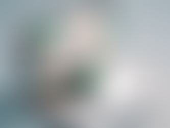 SEO Secrets: How to Rank Higher and Drive More Traffic to Your Website